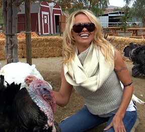 Actress Pamela Anderson with one of the rescued turkeys at The Gentle Barn a couple of Thanksgivings ago. Photo by Leon Worden/SCVTV.