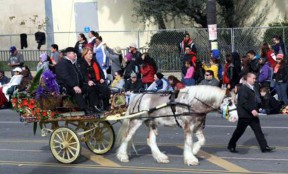 A Gypsy Cob horse pulls an 80-year-old gypsy flat wagon in the 2013 Rose Parade.