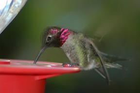 hummer071013c