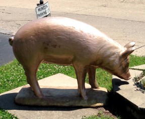 The municipal golden pig.