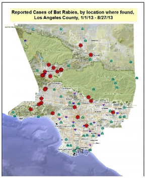 2013 Rabies Map - Aug 30 - 26 bats SMALL