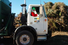 Waste Management Offers Christmas Tree Recycling Until Jan. 11