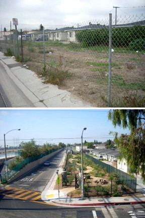 Cudahy River Park before and after North East Trees rehabilitated it.