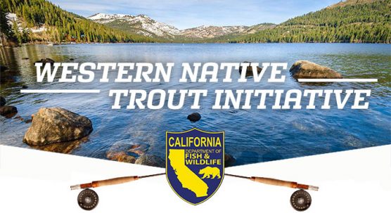 Western Native Trout Initiative logo