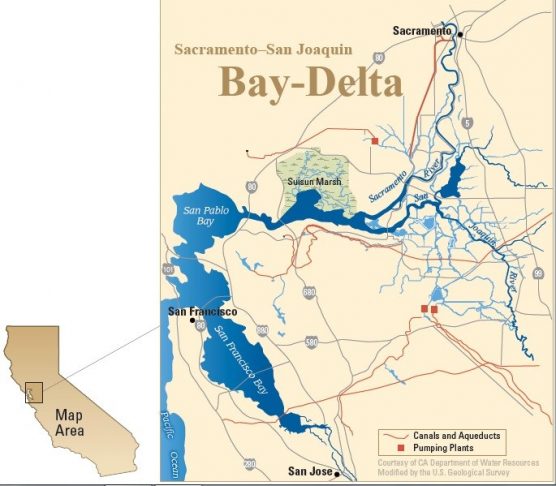 Map of the Sacramento-San Joaquin Bay-Delta. (California Department of Water Resources)