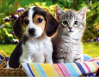 May 16: Free Pet Vaccination Clinic in Newhall