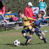 Fall Registration Open for FC Youth Soccer League