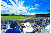 Dodgers Spring Training Tickets On Sale Monday