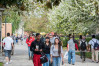 WSJ Ranks CSUN No. 1 for College Diversity in Western U.S.