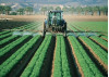 State Regulators Ban Popular Pesticide That’s Toxic to Children, Farmworkers