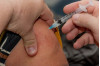 Public Health Recommends Students Update Vaccines