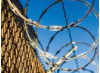 California Bans For-Profit Prisons, Immigrant Detention Centers