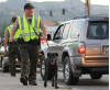 State Money Helps Deputies Combat Traffic Deaths
