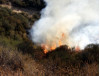 Fire Blackens 2 Acres in Seco Canyon