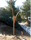 New Sculpture Adorns South Fork Trail