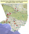 SCV Sees 5th Rabid Bat of 2013; 1/3 of County Total