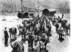 100 Mules Heading Toward Santa Clarita Valley (Video)