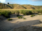 SCOPE Watershed Education Program at McGrath Elementary