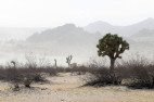 Jan. 1: First Day Hike at Saddleback Butte State Park