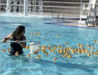 Oct. 6: Samuel Dixon Family Health Center to Host Their 21st Annual Dixon Duck Dash Fundraiser