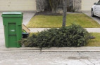 Holiday Tree Recycling