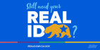 Start Summer with a Bang When By Upgrading to a REAL ID