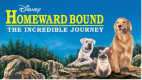 Aug. 26: Nature Center Hosts Movie Fundraiser, ‘Homeward Bound’