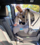 CHP Secures Federal Grant to Help Boost Child Passenger Safety Campaign