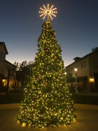 Dec. 8: Valencia Marketplace Tree Lighting Ceremony