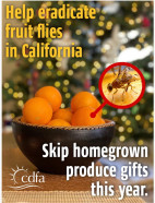 Residents in fruit fly quarantine areas urged to skip gifting local produce