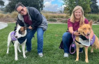 February 10: Fall in love on Pet Adoption Day in the city