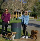 Green Santa Clarita Reminds SCV ‘It’s Your Duty to Bag Dog Doody’