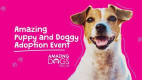July 21: Amazing Dog Adoption Event at Petsmart