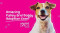 July 21: Amazing Dog Adoption Event at Petsmart