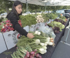 Aug. 4: New Valencia Farmers Market To Open