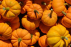 Valencia Town Center’s Pumpkin Patch Festival Runs Thru October