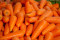 Public Health Investigates E. Coli Linked to Organic Carrots