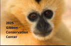 Gibbon Conservation Center Offers 2025 Gibbon Calendar