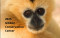 Gibbon Conservation Center Offers 2025 Gibbon Calendar