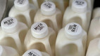 Public Health Warns Against Consuming Raw Milk