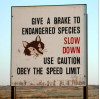 Caltrans Wants Motorists to Watch Out for Wildlife