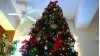 News of Newhall Christmas Tree Ban Goes Viral