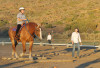 Feb. 6: Carousel Ranch Tour and Open House