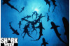 Aug. 9: Shark Week is Back at Natural History Museum