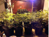 Robbers Invade Home Once Used to Grow Pot