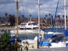 Sept. 27: City Hosting Ventura Harbor Cruise