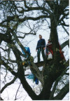 March 18: Old Glory Treesit 20th Anniversary Picnic