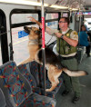 EOW: Deputy Says Goodbye to Transit Division Bomb Dog