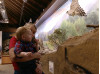 Remodeled Nature Center Museum Opens at Placerita