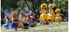 May 9: Hart Park to Host Pacific Islander Festival